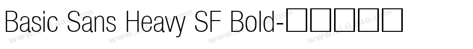 Basic Sans Heavy SF Bold字体转换
